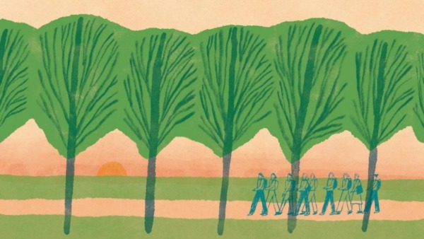 Wandelroute van het jaar: wandelroute rondom de Veluwe