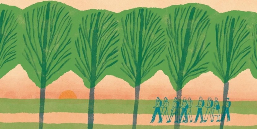 Wandelroute van het jaar: wandelroute rondom de Veluwe