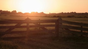 Geen wereldreis maar een jaar op het platteland; weids uitzicht over een weiland met hek tijdens zonsopgang.