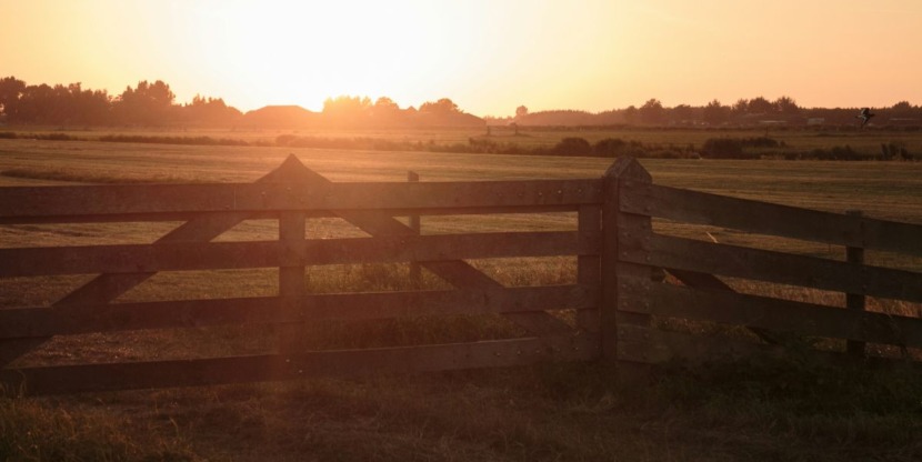 Geen wereldreis maar een jaar op het platteland; weids uitzicht over een weiland met hek tijdens zonsopgang.